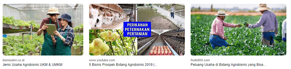 Menggali Peluang Terbaru di Dunia Agrobisnis- Inovasi dan Potensi yang Menggiurkan