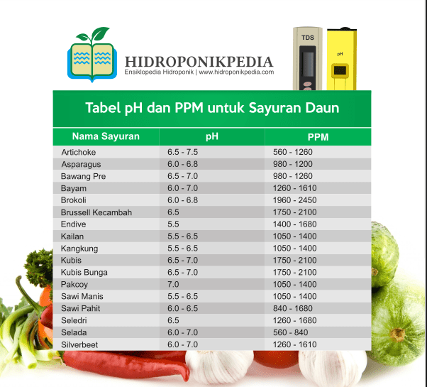 Apa saja jenis nutrisi yang biasa digunakan dalam hidroponik (homecare24.id)