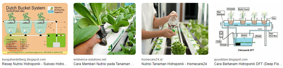 Bagaimana cara mengatur nutrisi pada sistem hidroponik
