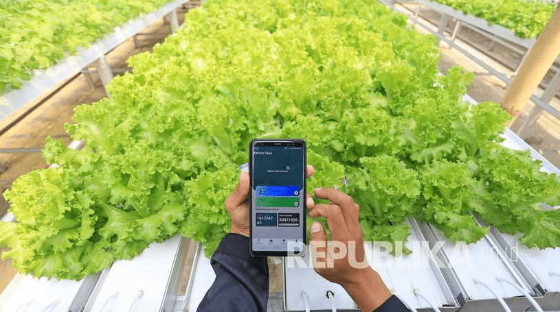 Teknologi Genomik untuk Peningkatan Produktivitas Tanaman (Republika.co.id)