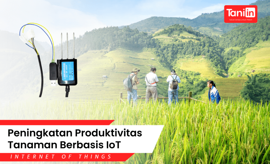 Teknologi Genomik untuk Peningkatan Produktivitas Tanaman (tanin.id)