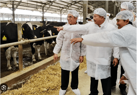Karir Menjanjikan di Dunia Agribisnis Peternakan (Kementerian Perindustrian)