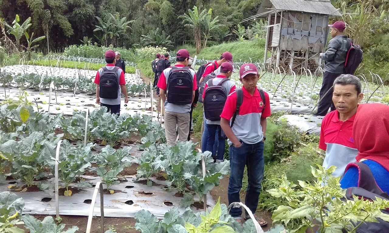 Agribisnis dalam Konteks Sumber Daya Manusia Pertanian