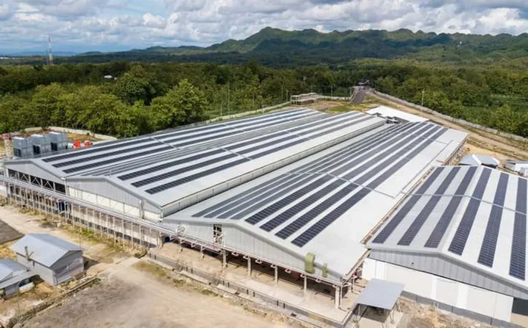 Agribisnis dan Pemanfaatan Energi Matahari
