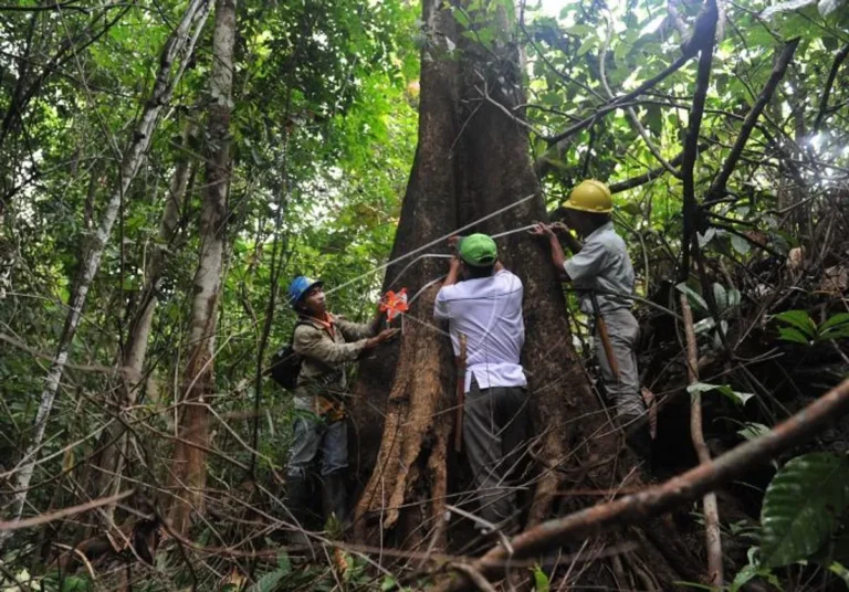 Agribisnis dan Pemberdayaan Petani Hutan