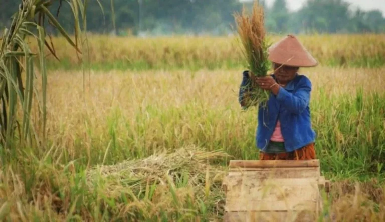 Agribisnis dan Pemberdayaan Petani Kecil