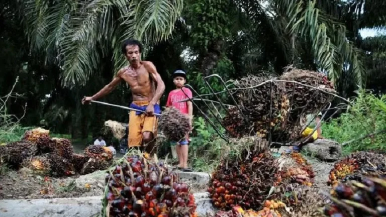 Agribisnis dan Pemberdayaan Petani Kelapa