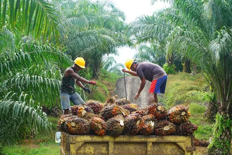 Agribisnis dan Pemberdayaan Petani Kelapa
