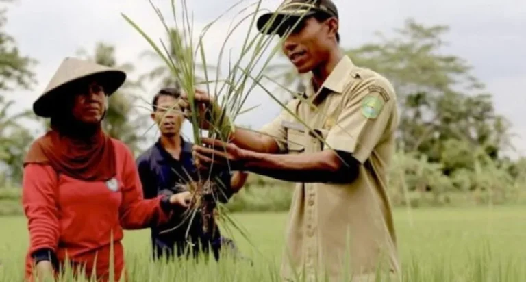 Agribisnis dan Pemberdayaan Petani Muda