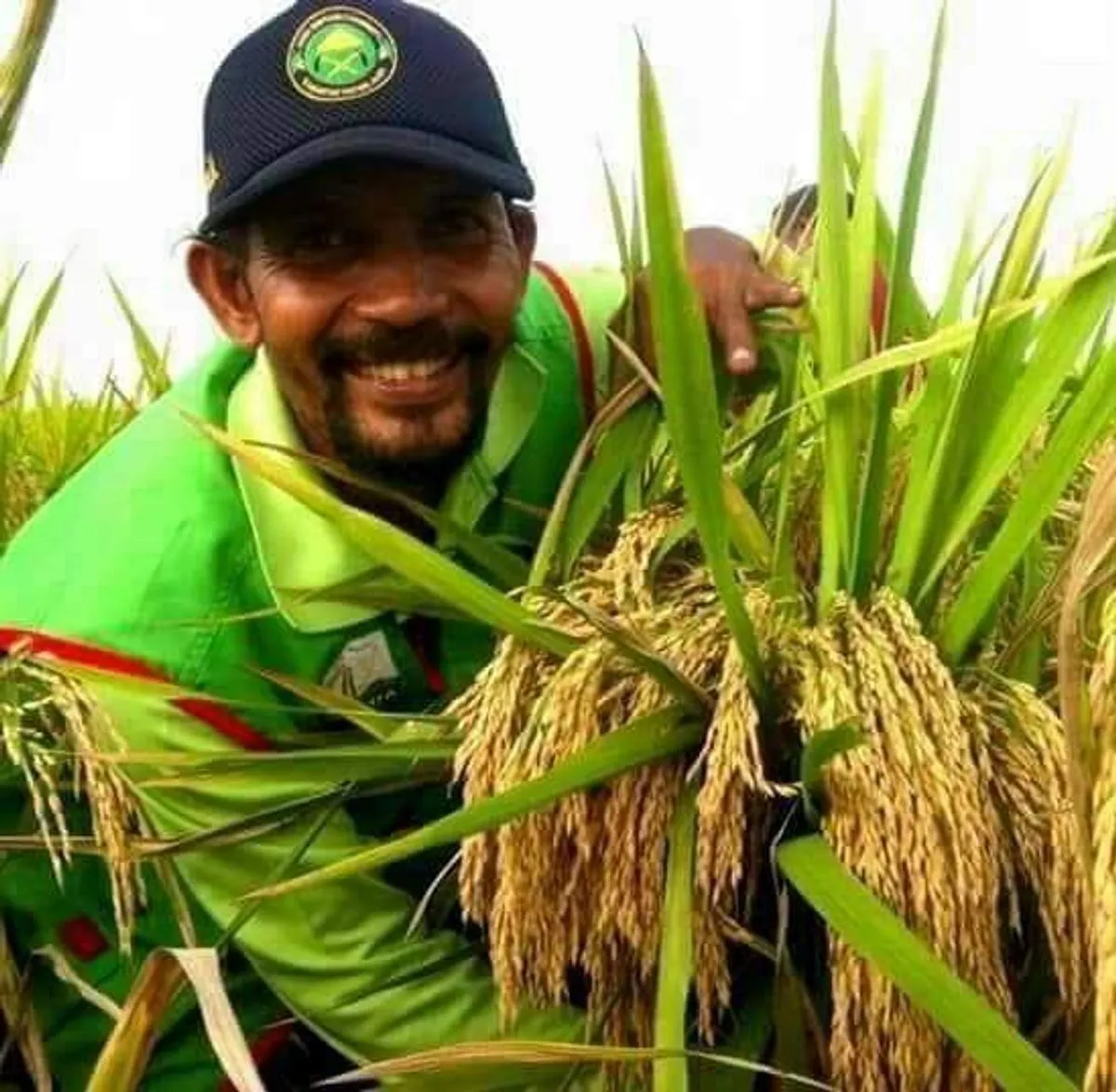 Agribisnis dan Peningkatan Kesejahteraan Petani