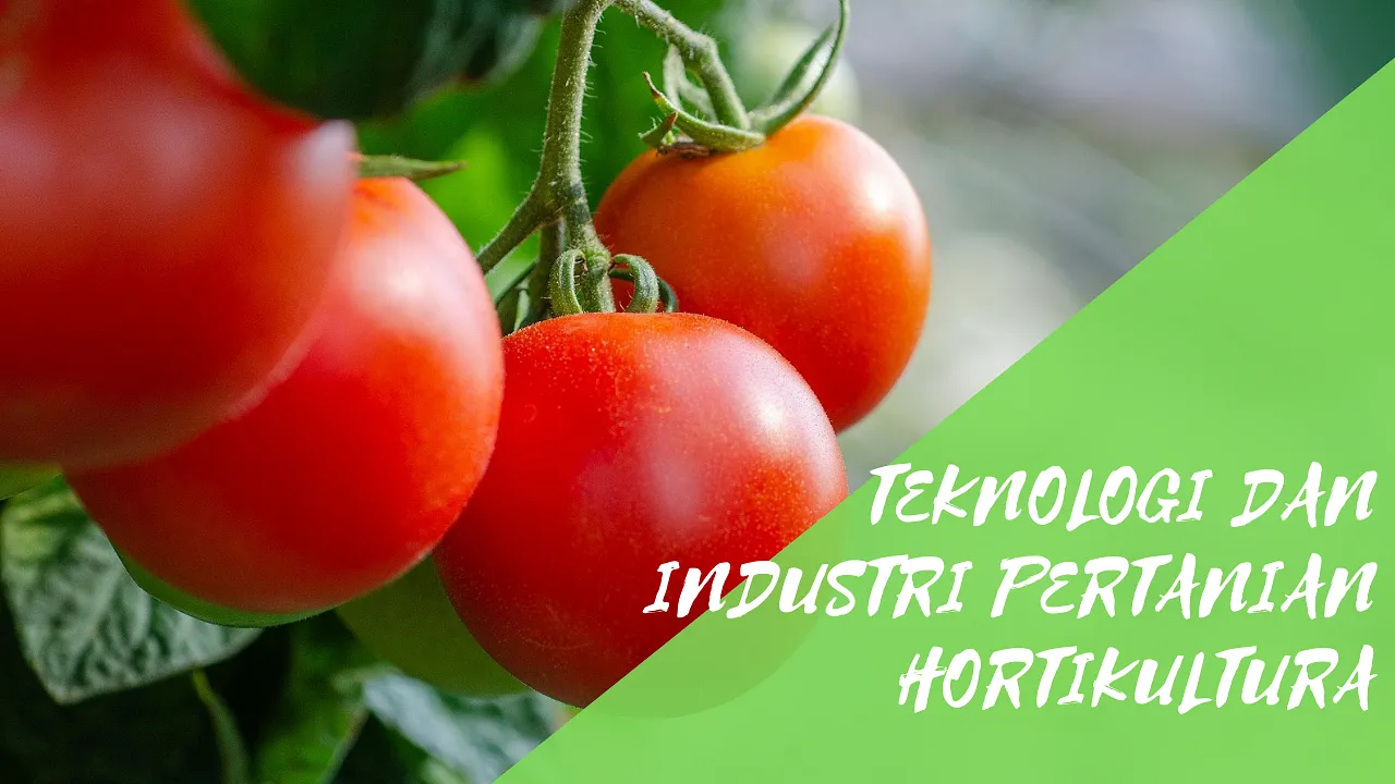 Agribisnis dan Peningkatan Produksi Kedelai