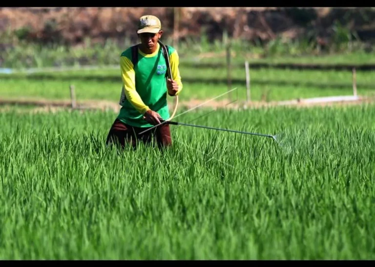 Agribisnis dan Peningkatan Produksi Padi