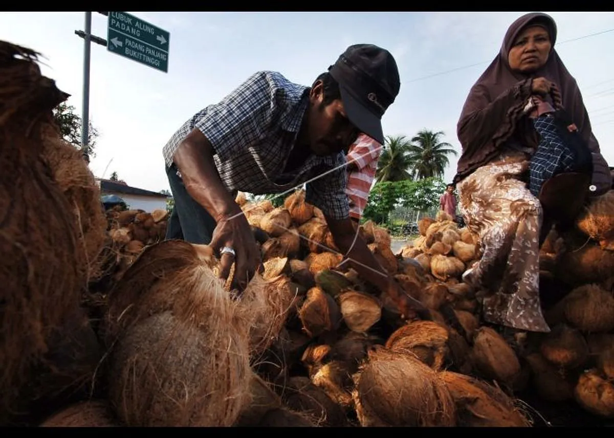 Agribisnis Kelapa dan Peningkatan Produksi