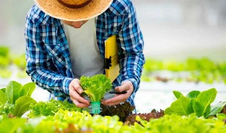 Agribisnis: Meneroka Dunia Pertanian