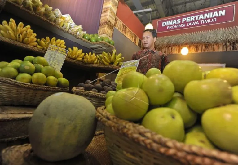 Agribisnis Organik dan Kualitas Produk