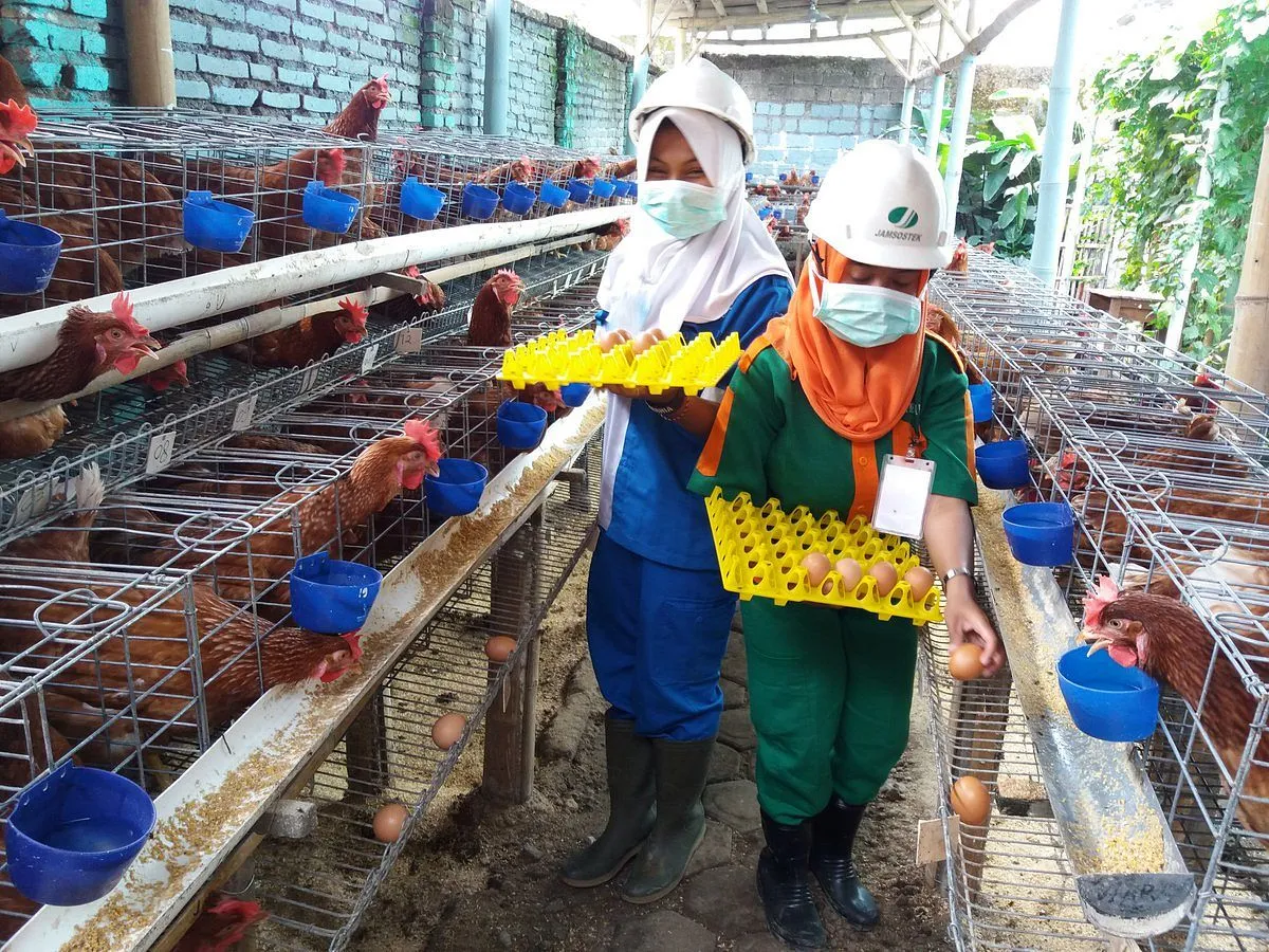 Agribisnis Pakan Ternak Unggas: Mendukung Industri Peternakan