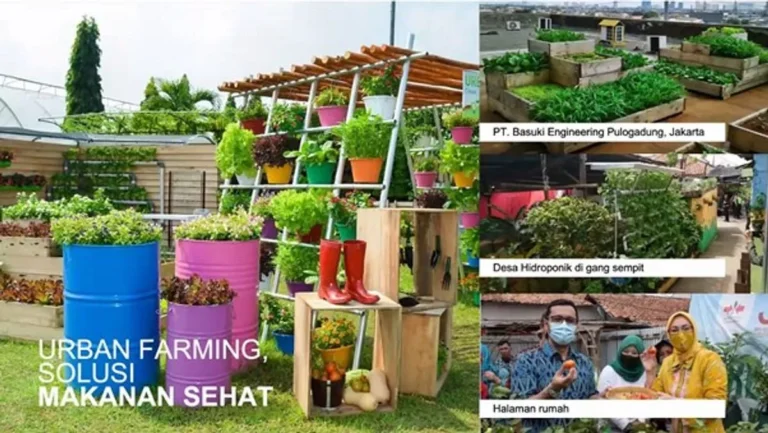 Agribisnis Perkotaan: Menanam di Tengah Kota