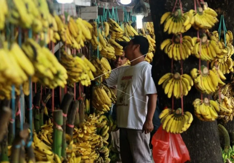 Analisis Pasar dan Perilaku Konsumen dalam Industri Pisang