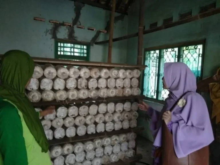 Aspek Keberlanjutan dalam Agribisnis Jamur