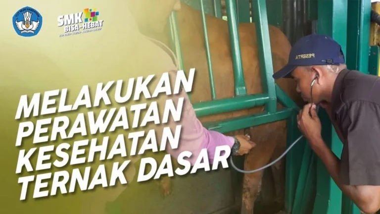 Aspek Pemuliaan Ternak yang Perlu Diperhatikan