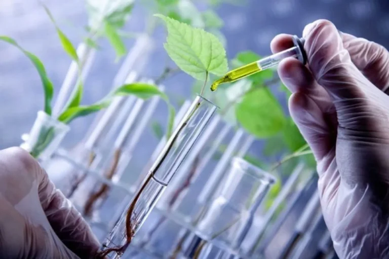 Bioteknologi Pertanian: Teknologi Masa Depan