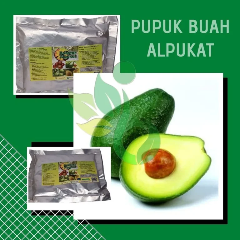 Bisnis Perkebunan Alpukat: Prospek Pasar
