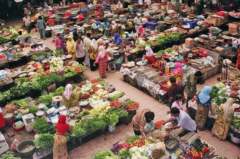 Bisnis Perkebunan Anggur: Tren Pasar Global