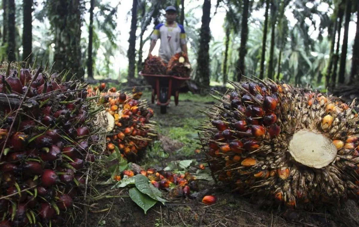 Bisnis Perkebunan Kelapa Sawit: Tantangan
