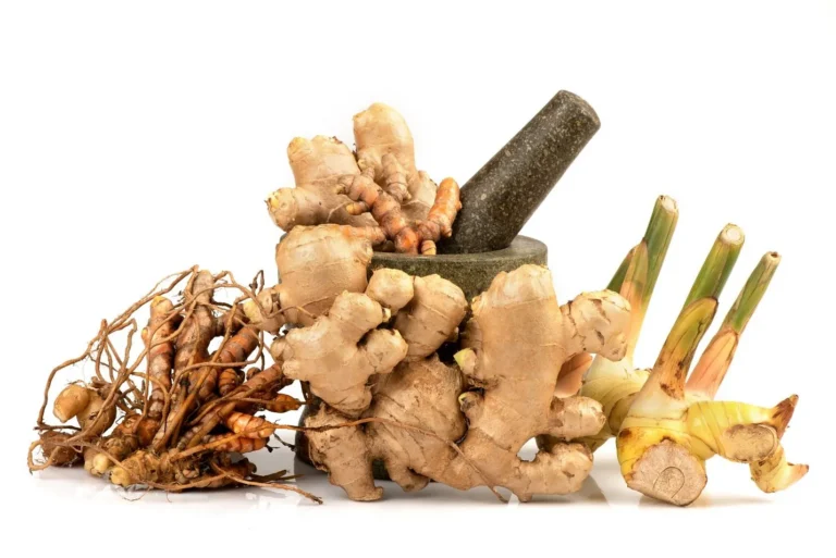 Bisnis Tanaman Obat Herbal: Potensi dan Prospek