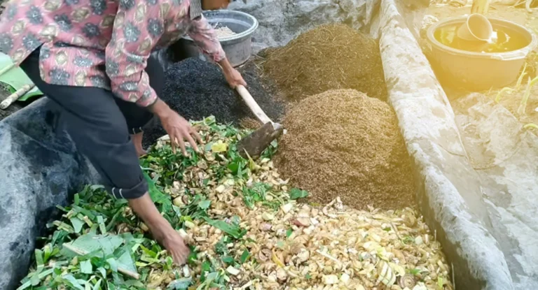 Cara Aplikasi Pupuk Organik yang Tepat