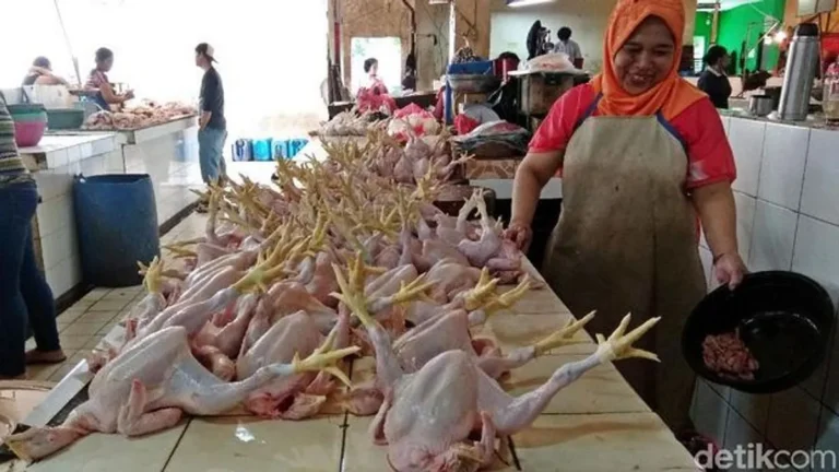 Distribusi dan Jaringan Pasar
