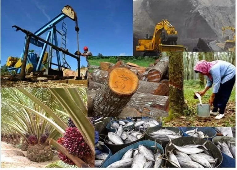 Diversifikasi Usaha dalam Agribisnis