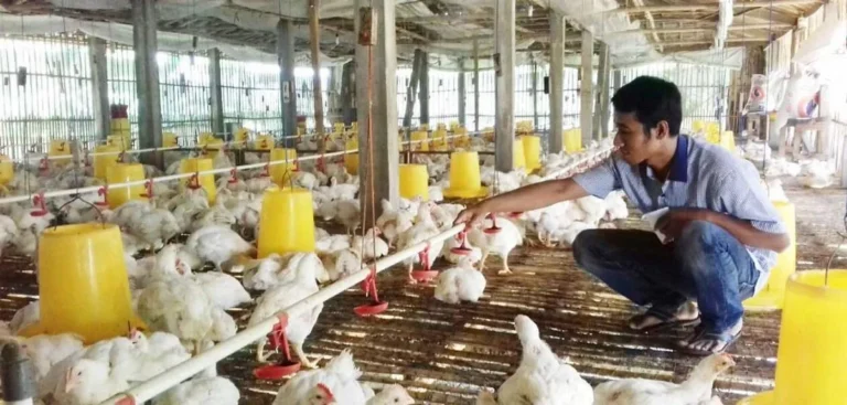Evaluasi dan Perbaikan Terus-Menerus