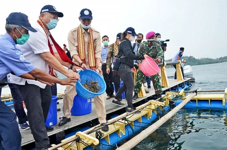 Faktor Keberlanjutan dan Pelestarian Sumber Daya Perikanan