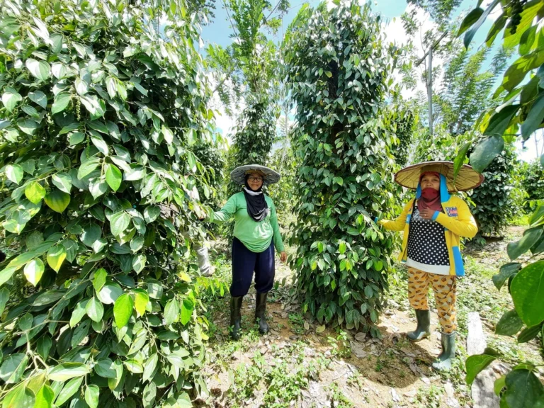 Inovasi dalam Agribisnis