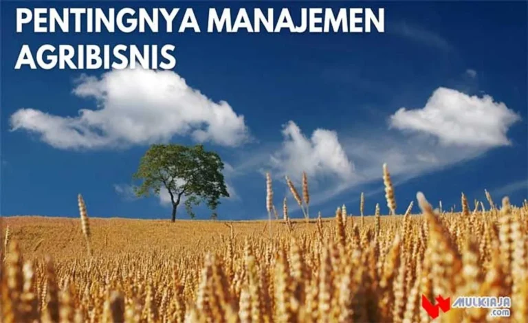 Inovasi dalam Manajemen Pemasaran Agribisnis