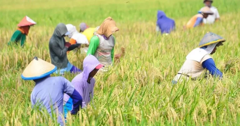 Inovasi dalam Pertanian Tepat Guna