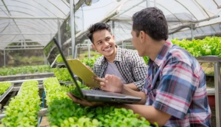 Inovasi dan Teknologi dalam Agribisnis