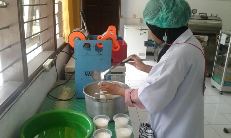 Inovasi dan Teknologi dalam Agribisnis Gula