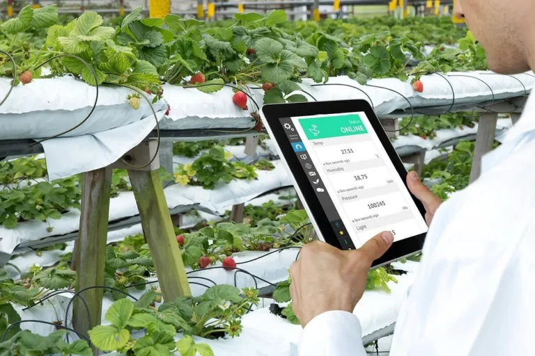 Inovasi dan Teknologi dalam Sistem Pemasaran Agribisnis