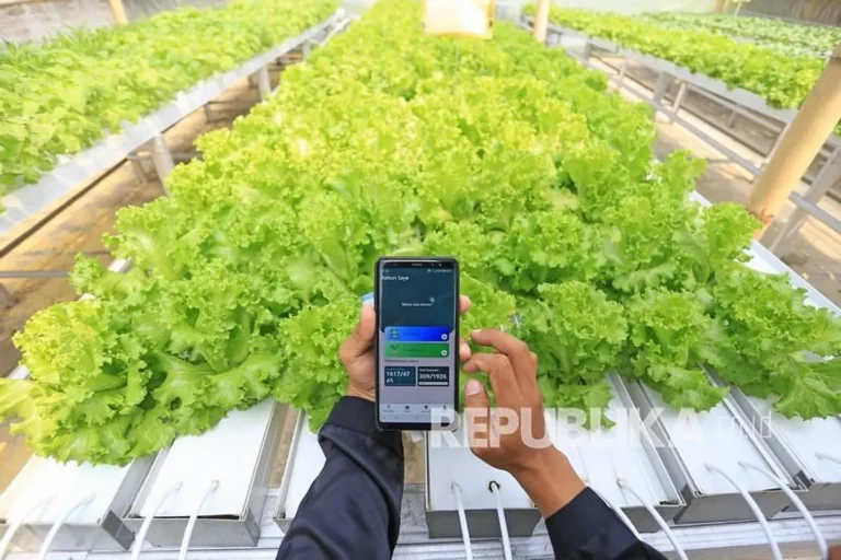 Inovasi Teknologi dalam Bisnis Perkebunan Alpukat