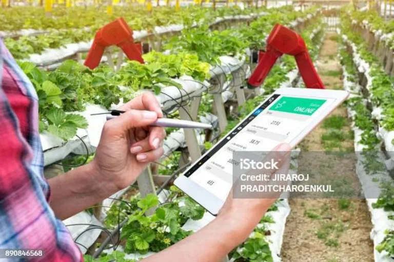 Inovasi Teknologi dalam Peningkatan Efisiensi Agribisnis Peternakan