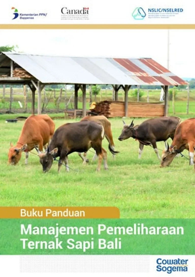 Inovasi Teknologi untuk Kualitas Produk Ternak