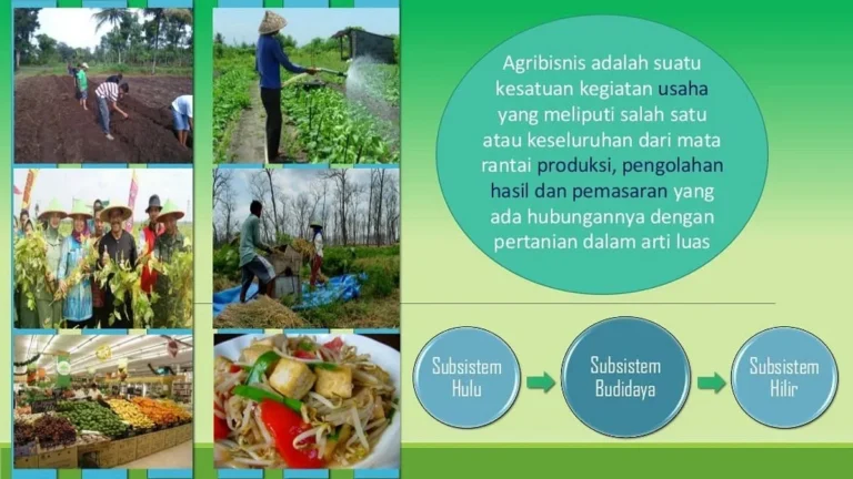 Integrasi Agribisnis: Membangun Rantai Pasok yang Kokoh