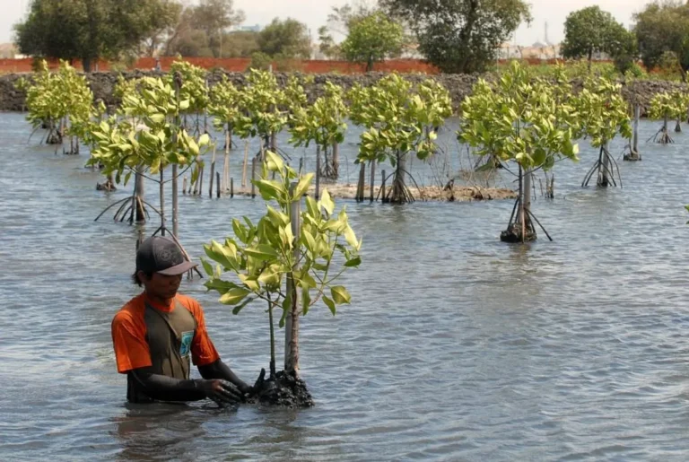 Keberlanjutan Agribisnis dan Pengelolaan Sumber Daya Alam