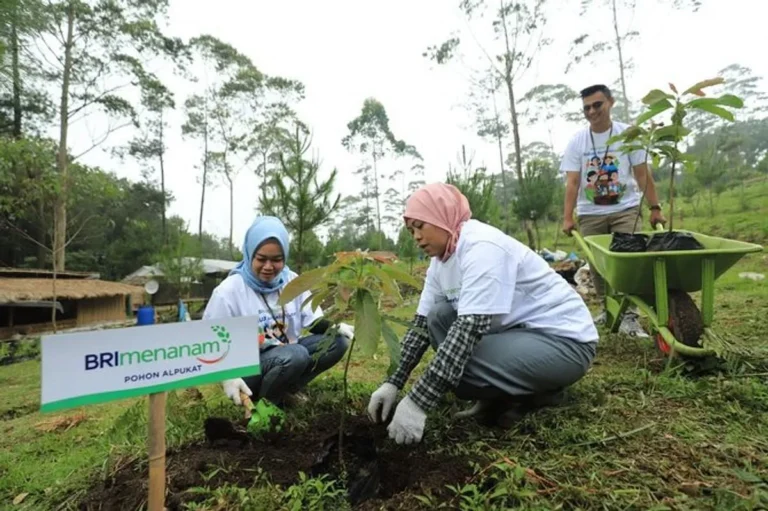 Keberlanjutan dalam Agribisnis