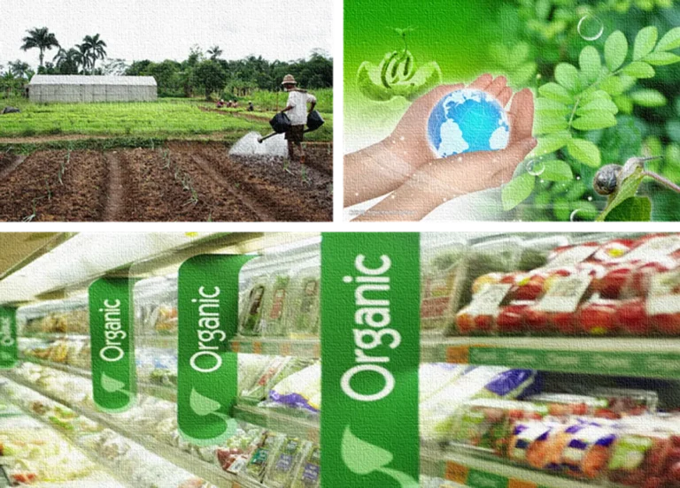 Keberlanjutan dalam Agribisnis Kedelai