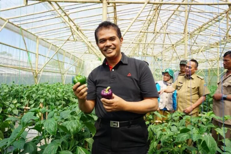 Keberlanjutan dalam Agribisnis Paprika