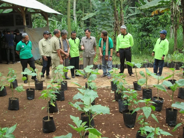 Keberlanjutan dalam Bisnis Kelengkeng