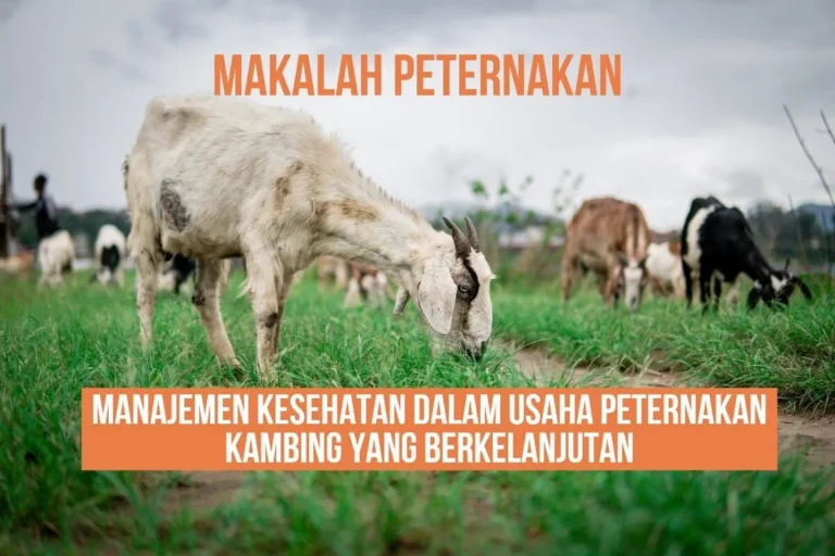 Keberlanjutan dalam Pemasaran Produk Peternakan Daging Kambing